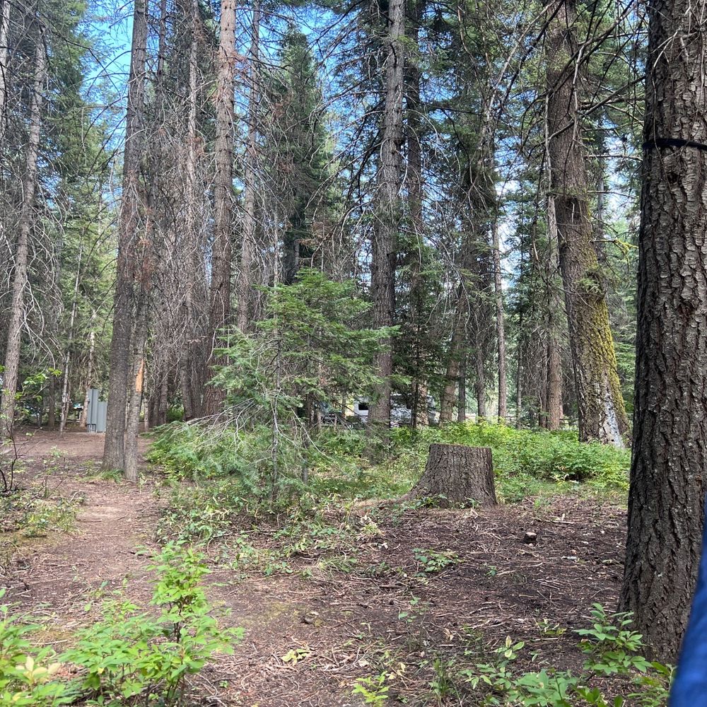 View from my hammock