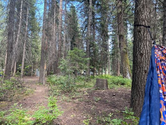 Ponderosa State Park by null