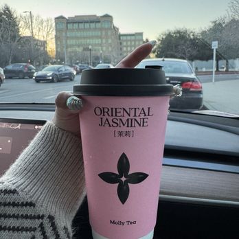 Molly Tea - Bubble Tea Near Me - Sunnyvale, California Molly Tea - Bubble Tea Near Me - Sunnyvale, California