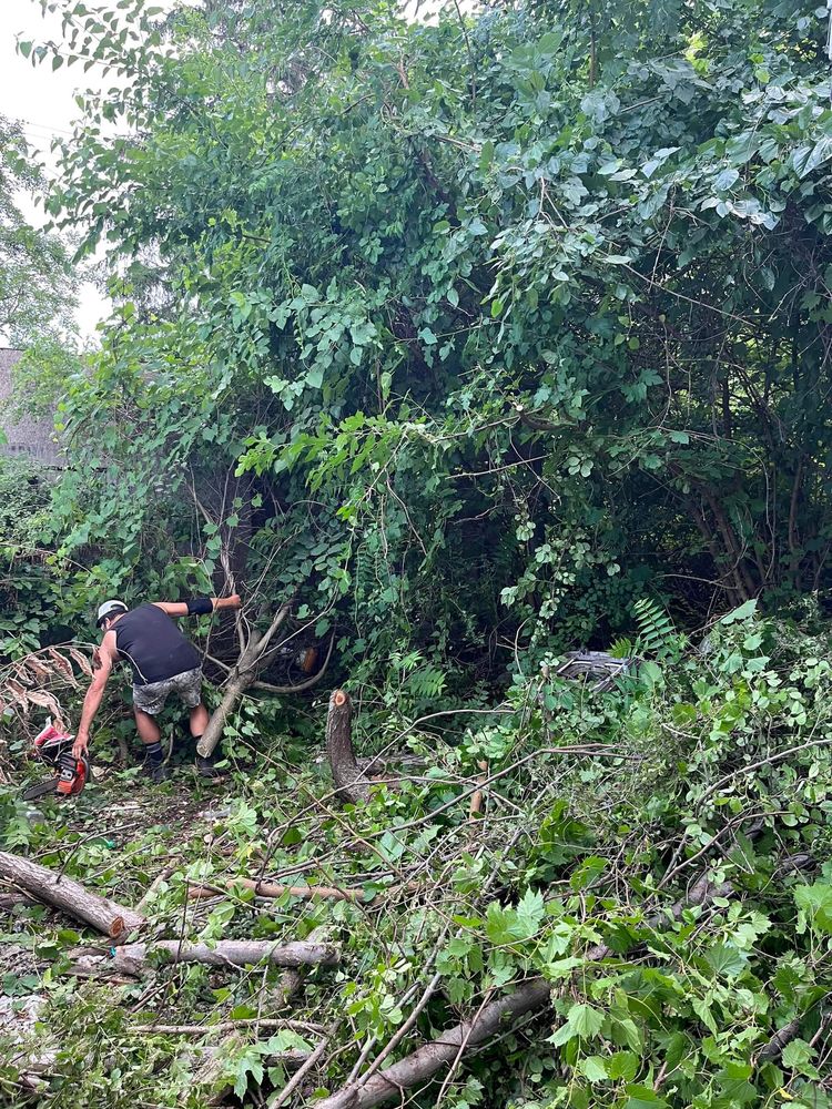 REEDS LAWN CARE Request a Quote Auburn Hills, Michigan Lawn