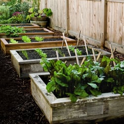 Simple Man's Lawn & Garden