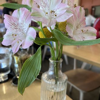 Madi - At Madi'ss beautiful, flower arrangements - Breakfast & Brunch Near Me - San Diego, California Madi - At Madi'ss beautiful, flower arrangements - Breakfast & Brunch Near Me - San Diego, California