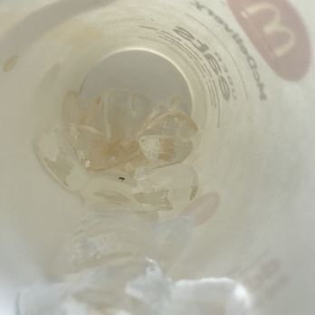 McDonald's - Fast Food Near Me - North Miami, Florida