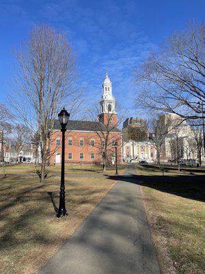 New Haven Green by null