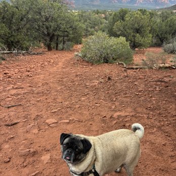 Dog Park - Dog park with a view - Dog Parks Near Me - Sedona, Arizona Dog Park - Dog park with a view - Dog Parks Near Me - Sedona, Arizona