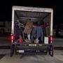 Photo of Zapt Movers