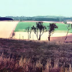 Watership Down - Looking north from the top of Watership Down
