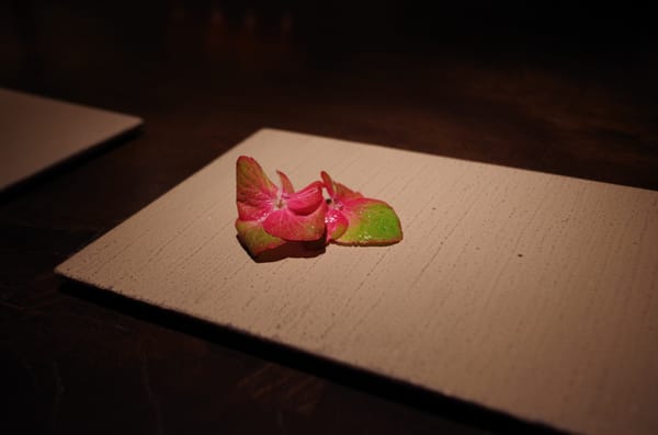 Gen Yamamoto by null