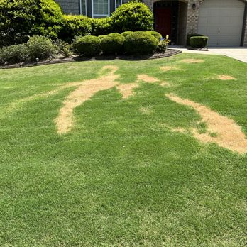 Weed Man - Pest Control Near Me - Roswell, Georgia