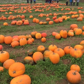 Maan Farms - Farmers Market Near Me - Abbotsford, British Columbia