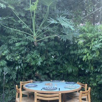 Azul - back wall is lush with greenery - Mexican Near Me - México, D.F., DIF Azul - back wall is lush with greenery - Mexican Near Me - México, D.F., DIF