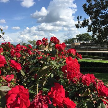 Florida Southern College - Colleges & Universities Near Me - Lakeland, Florida Florida Southern College - Colleges & Universities Near Me - Lakeland, Florida