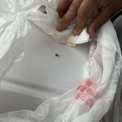 Antojitos Salvadoreños La Morenita