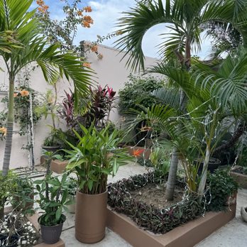 NatuSpa - Cosmetics & Beauty Supply Near Me - Mazatlán, SIN