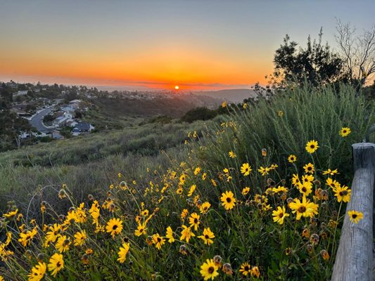 Cowles Mountain by null