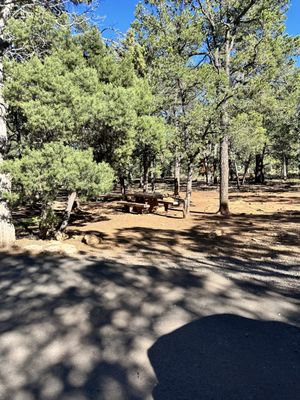 Mather Campground by null