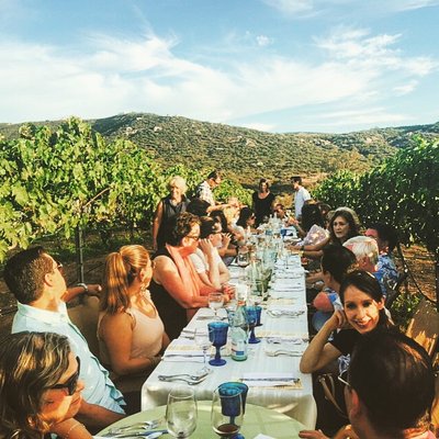 Colectivo Felix by null