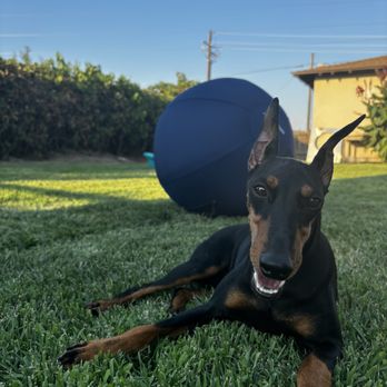 Tango Kennels - Pet Groomers Near Me - Oakdale, California Tango Kennels - Pet Groomers Near Me - Oakdale, California