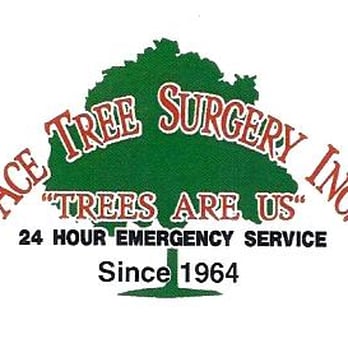 Ace Tree Surgery - Tree Services Near Me - Marietta, Georgia Ace Tree Surgery - Tree Services Near Me - Marietta, Georgia