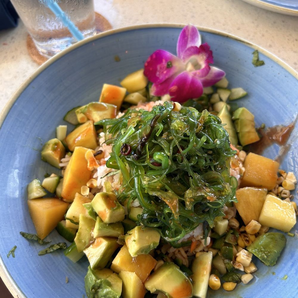 Beach House - Poke bowl - Bars Near Me - Pompano Beach, Florida Beach House - Poke bowl - Bars Near Me - Pompano Beach, Florida