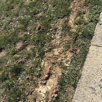 Virginia Green - Disturbed dirt where grass once grew. - Tree Services Near Me - Richmond, Virginia Virginia Green - Disturbed dirt where grass once grew. - Tree Services Near Me - Richmond, Virginia