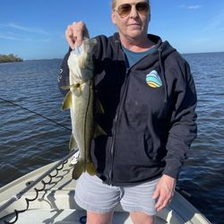 Anna Maria Charters - My first snook and is was a fun catch