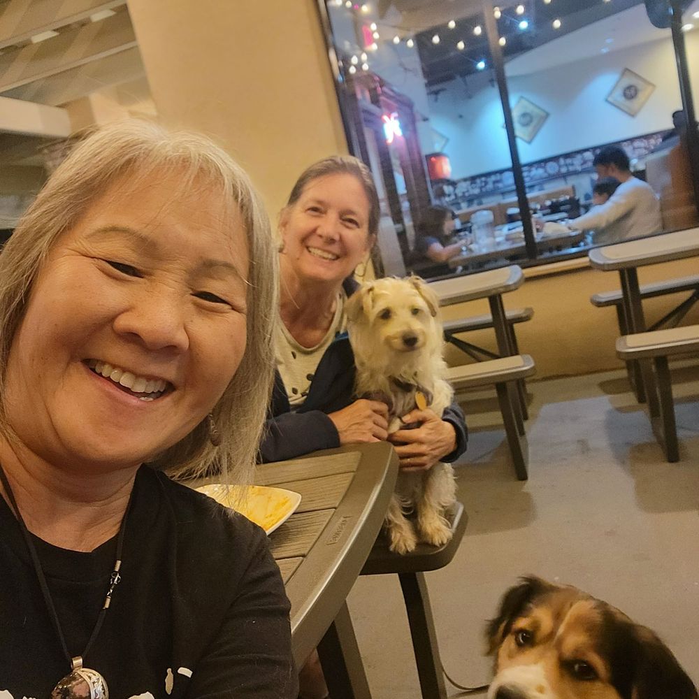 Curry Craft - And we even got to have our best buddies on the patio with us. Love this place! - Indian Near Me - San Marcos, California Curry Craft - And we even got to have our best buddies on the patio with us. Love this place! - Indian Near Me - San Marcos, California
