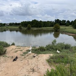 Mason Creek Hike & Bike Trail