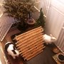 Photo of The Bunny Hay Loft