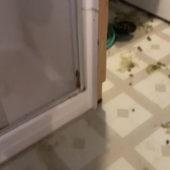 Haven Brook Homes - Basement floor drain sewerage backing up - Property Management Near Me - Duluth, Georgia
