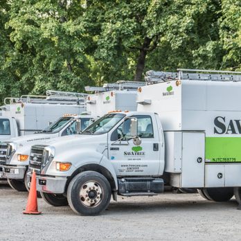 SavATree Austin - Tree Services Near Me - Austin, Texas SavATree Austin - Tree Services Near Me - Austin, Texas
