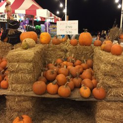 Seasonal Adventures - Stu Miller's - Pumpkins