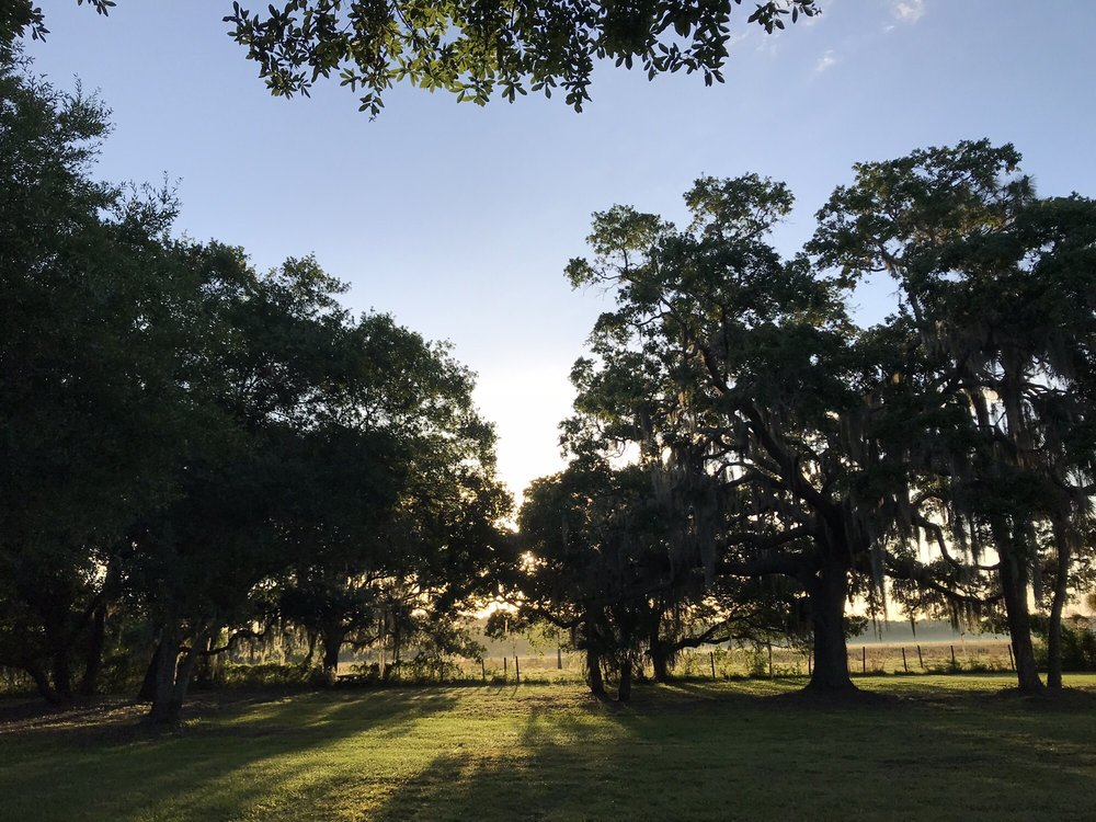 SUNCOAST COMMUNITY CHURCH Updated September 2024 11 Reviews 8000