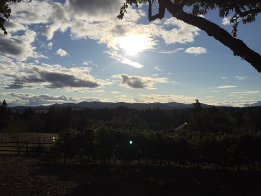 Springhill Cellars Winery (Open May-December) by null