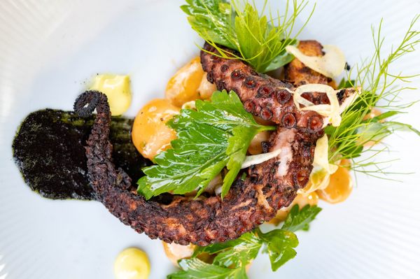 Ocotillo Restaurant by null