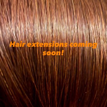 Hair Design by Terrie - Hair Stylists Near Me - Raleigh, North Carolina Hair Design by Terrie - Hair Stylists Near Me - Raleigh, North Carolina