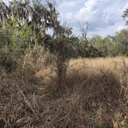 Ten Mile Creek Preserve