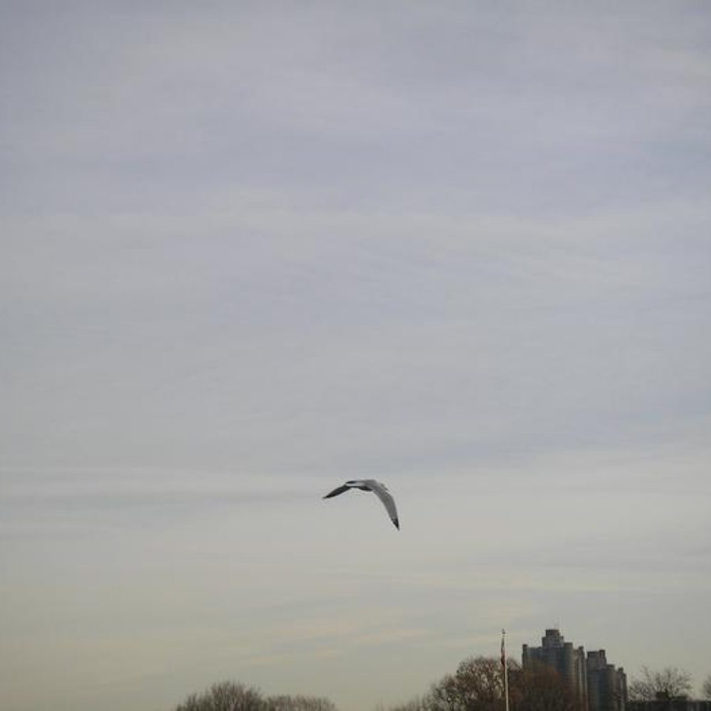 Van Cortlandt Park - A sky in NYC. A rare thing. - Parks Near Me - Bronx, New York Van Cortlandt Park - A sky in NYC. A rare thing. - Parks Near Me - Bronx, New York