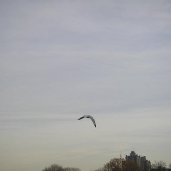 Van Cortlandt Park  - A sky in NYC.  A rare thing. - Parks Near Me - Bronx, New York
