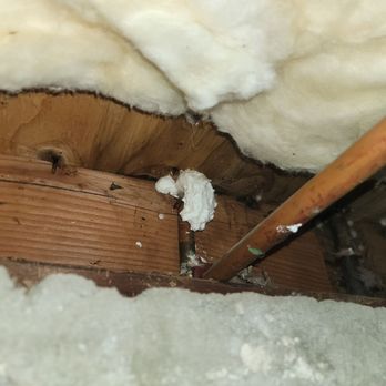 Attic Pros - Pest Control Near Me - Oakland, California