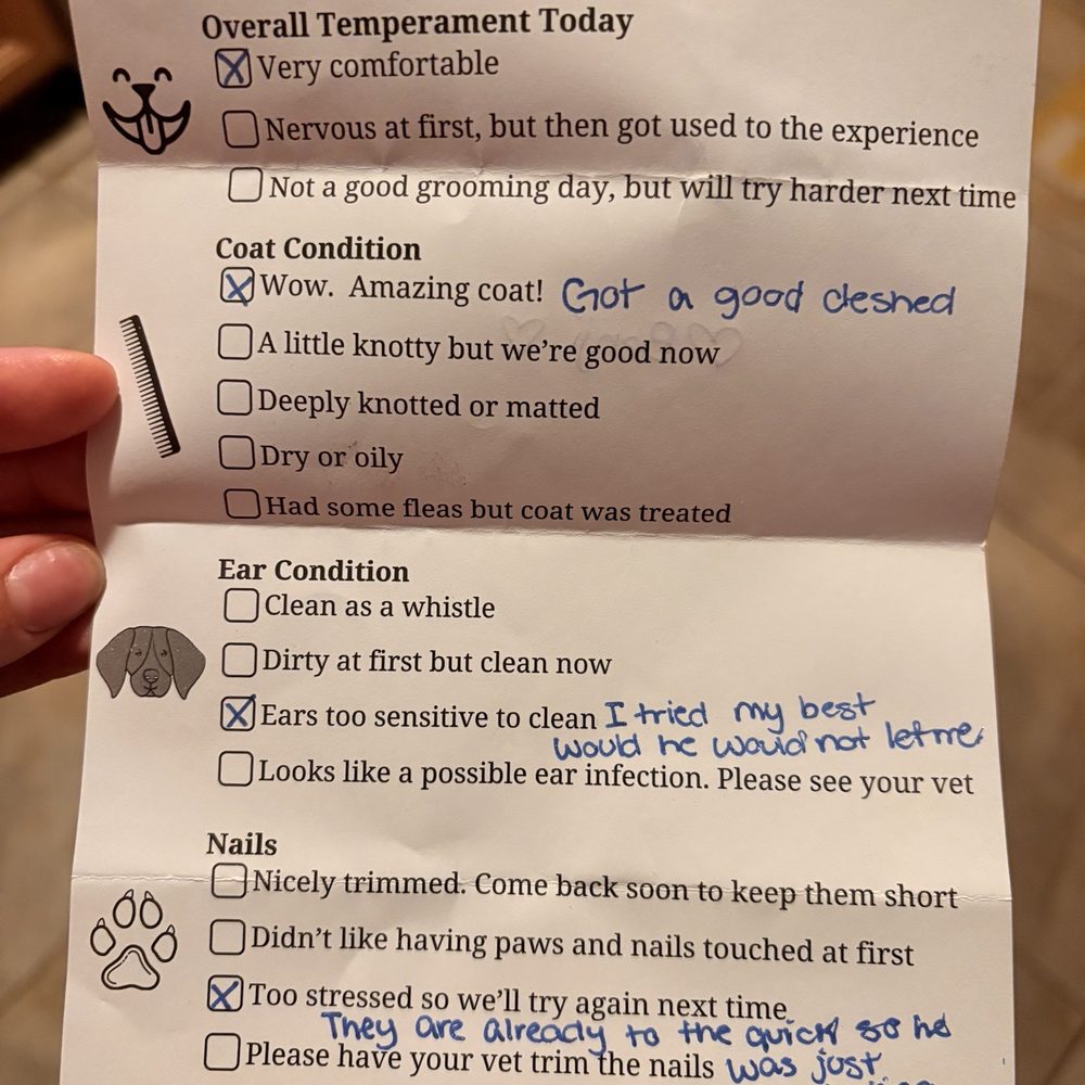 Good Fluffin’ Grooming - Report Card - Pet Groomers Near Me - Riverside, California Good Fluffin’ Grooming - Report Card - Pet Groomers Near Me - Riverside, California