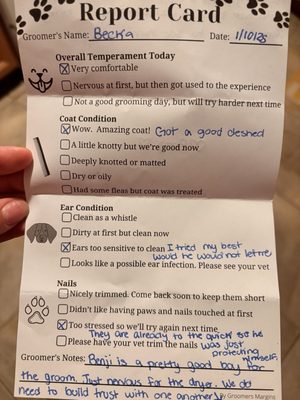 Groom Report Cards 🐾 - Ever wonder how your fur baby really did during their grooming session? At Good Fluffin' Grooming, we don't leave you guessing. Every pup goes home with a handwritten Groom Report Card so you know exactly how your dog behaved and felt throughout their visit.
What your pup's report card covers:
📝 "How I Did Today" Behavior Breakdown — We track your pup's behavior at every stage of the grooming process so you get the full picture, not just a thumbs up
🐶 Sweet Angel For — What parts of the groom your pup handled like a champ
🙂 Tolerant For — The steps they weren't thrilled about but still powered through
😟 A Lil Scared For — Moments where they needed some extra reassurance
😤 Not Happy For — The parts they let us know they weren't a fan of
😬 A Bit Wiggly For — When the zoomies tried to take over
😨 Very Scared Of — Anything that really stressed them out so we can work on it together
🦷 Tried Biting For — Honest feedback so we can adjust our approach next time
🗣️ Vocal For — When your pup had something to say about it
✍️ Extra Details About Today's Grooming — Personal, handwritten notes from your pup's groomer with the real scoop on how the session went. The funny moments, the sweet moments, and any tips or observations worth noting.
Think notes like: "Good boy overall. Just verbal/vocal at times — it's ok, I sang with him ❤️ Armpits should be fresh!"
Why pet parents love our report cards:
🐾 You get an honest, detailed look at how your pup handled every part of the groom
📈 Track their comfort and progress over multiple visits
🧡 Build a deeper understanding of what your dog loves (and doesn't love) about grooming
🤝 Strengthens the communication between you and your pup's groomer
😂 They're often hilarious and heartwarming — fridge-worthy content guaranteed
This is what one-on-one grooming really looks like. Because your groomer spends the entire session with your pup, they actually know your dog. They notice the details, pick up on personality quirks, and write report cards that feel personal — because they are.
"It's like getting a little love note from your dog's favorite person." 🐾
📞 Book your pup's session today and get their first Groom Report Card! Groom Report Cards 🐾 - Ever wonder how your fur baby really did during their grooming session? At Good Fluffin' Grooming, we don't leave you guessing. Every pup goes home with a handwritten Groom Report Card so you know exactly how your dog behaved and felt throughout their visit.
What your pup's report card covers:
📝 "How I Did Today" Behavior Breakdown — We track your pup's behavior at every stage of the grooming process so you get the full picture, not just a thumbs up
🐶 Sweet Angel For — What parts of the groom your pup handled like a champ
🙂 Tolerant For — The steps they weren't thrilled about but still powered through
😟 A Lil Scared For — Moments where they needed some extra reassurance
😤 Not Happy For — The parts they let us know they weren't a fan of
😬 A Bit Wiggly For — When the zoomies tried to take over
😨 Very Scared Of — Anything that really stressed them out so we can work on it together
🦷 Tried Biting For — Honest feedback so we can adjust our approach next time
🗣️ Vocal For — When your pup had something to say about it
✍️ Extra Details About Today's Grooming — Personal, handwritten notes from your pup's groomer with the real scoop on how the session went. The funny moments, the sweet moments, and any tips or observations worth noting.
Think notes like: "Good boy overall. Just verbal/vocal at times — it's ok, I sang with him ❤️ Armpits should be fresh!"
Why pet parents love our report cards:
🐾 You get an honest, detailed look at how your pup handled every part of the groom
📈 Track their comfort and progress over multiple visits
🧡 Build a deeper understanding of what your dog loves (and doesn't love) about grooming
🤝 Strengthens the communication between you and your pup's groomer
😂 They're often hilarious and heartwarming — fridge-worthy content guaranteed
This is what one-on-one grooming really looks like. Because your groomer spends the entire session with your pup, they actually know your dog. They notice the details, pick up on personality quirks, and write report cards that feel personal — because they are.
"It's like getting a little love note from your dog's favorite person." 🐾
📞 Book your pup's session today and get their first Groom Report Card!