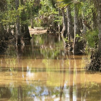 Babcock Ranch Eco Tours - Tours Near Me - Punta Gorda, Florida