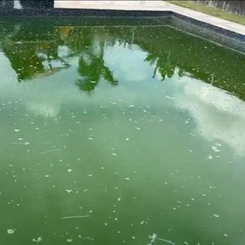 Chlor-A-Clean Pool Services - DIRTY POOL WATER - Pool Cleaners Near Me Chlor-A-Clean Pool Services - DIRTY POOL WATER - Pool Cleaners Near Me