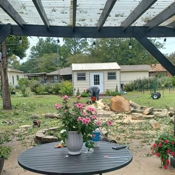 Elian's Tree Service - Tree Services Near Me - Kaufman, Texas