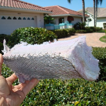 Vent Safe - Dryer vent roof caps are cleaned as part of our process. - Air Duct Cleaning Near Me Vent Safe - Dryer vent roof caps are cleaned as part of our process. - Air Duct Cleaning Near Me