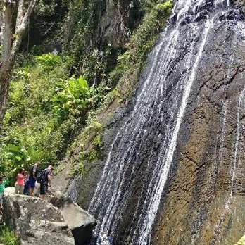 El Yunque Rainforest - Hiking Near Me - Luquillo, Puerto Rico El Yunque Rainforest - Hiking Near Me - Luquillo, Puerto Rico
