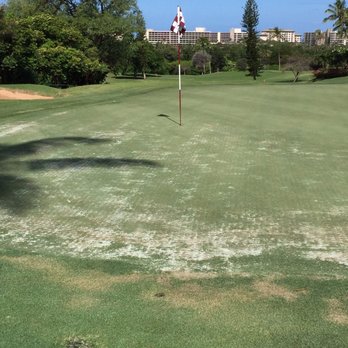 Ka'anapali Golf Courses - One of the greens for which I did not receive an aeration discount. Really. - Golf Near Me - Lahaina, Hawaii Ka'anapali Golf Courses - One of the greens for which I did not receive an aeration discount. Really. - Golf Near Me - Lahaina, Hawaii