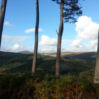 Glendalough - Local Flavor Near Me - Bray, WW Glendalough - Local Flavor Near Me - Bray, WW