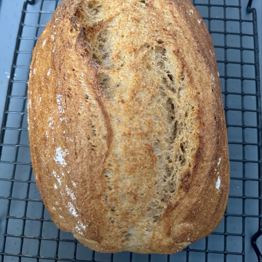 The King's Roost - Our first sourdough loaf made with freshly milled flour from The King's Roost! - Do-It-Yourself Food Near Me - Los Angeles, California The King's Roost - Our first sourdough loaf made with freshly milled flour from The King's Roost! - Do-It-Yourself Food Near Me - Los Angeles, California